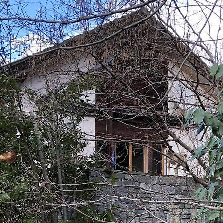 Gemuetliche Ferienwohnung Mit Garten Biasca Exterior foto